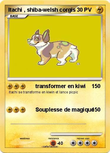 Pokemon Itachi , shiba-welsh corgis