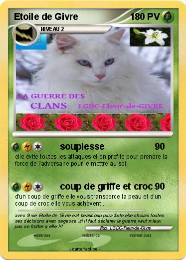 Pokemon Etoile de Givre