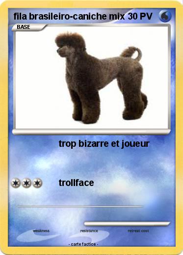 Pokemon fila brasileiro-caniche mix