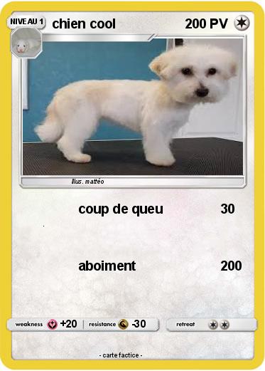Pokemon chien cool