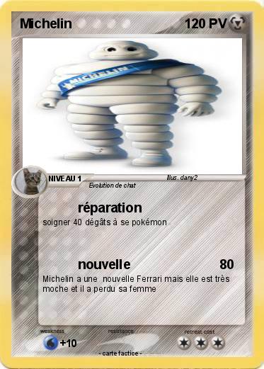 Pokemon Michelin