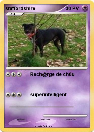 Pokemon staffordshire