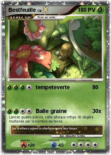 Pokemon Bestfeuille