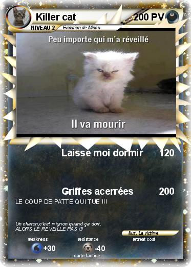 Pokemon Killer cat
