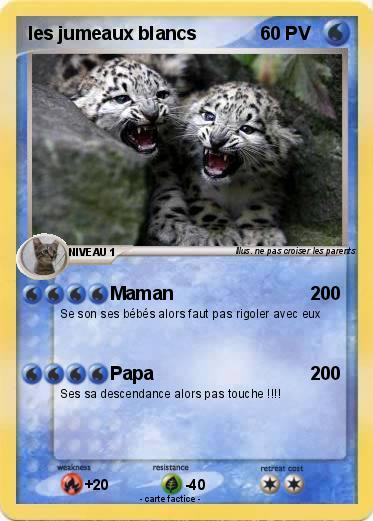 Pokemon les jumeaux blancs