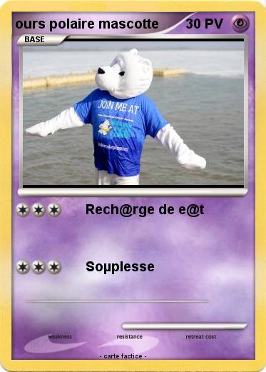 Pokemon ours polaire mascotte