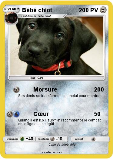 Pokemon Bébé chiot