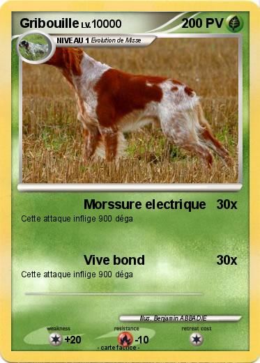 Pokemon Gribouille