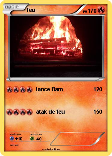 Pokemon feu