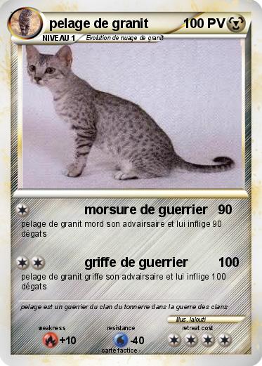 Pokemon pelage de granit