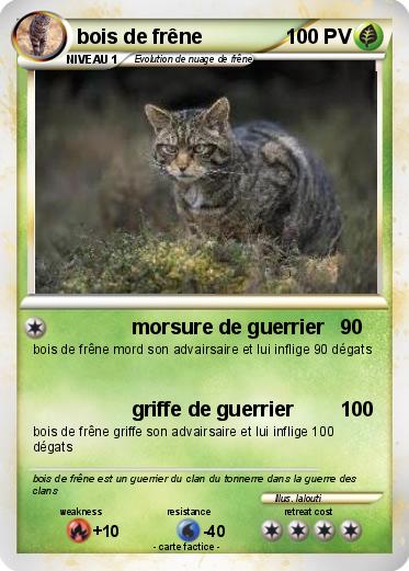 Pokemon bois de frêne