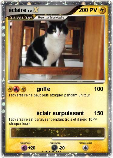 Pokemon éclaire