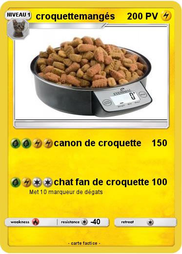 Pokemon croquettemangés