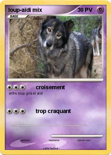 Pokemon loup-aïdi mix