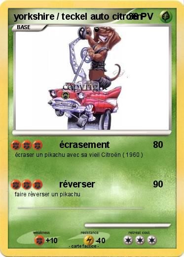 Pokemon yorkshire / teckel auto citroën