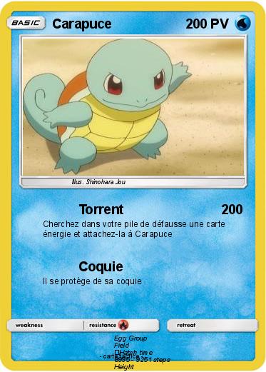 Pokemon Carapuce