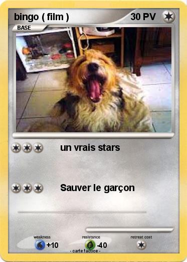 Pokemon bingo ( film )