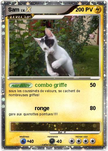 Pokemon Sam