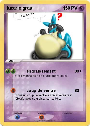 Pokemon lucario gras