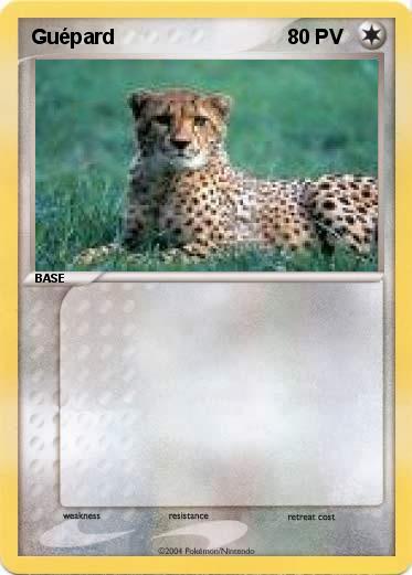 Pokemon Guépard