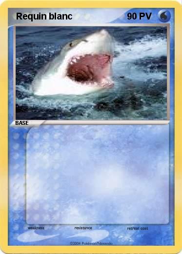 Pokemon  Requin blanc