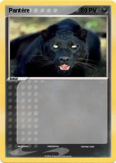 Pokemon Pantère