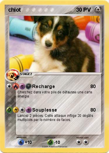 Pokemon chiot