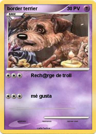 Pokemon border terrier