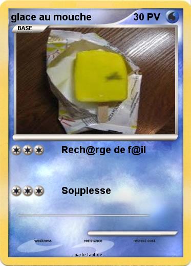 Pokemon glace au mouche