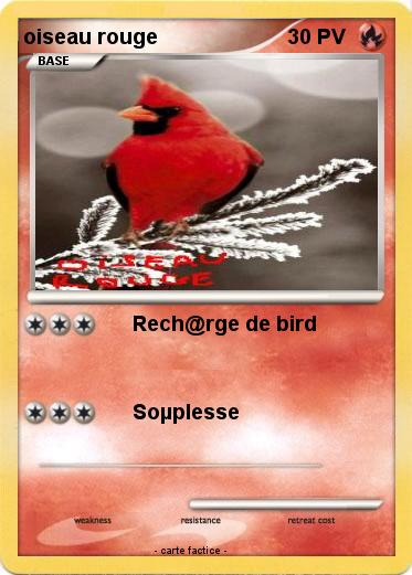 Pokemon oiseau rouge