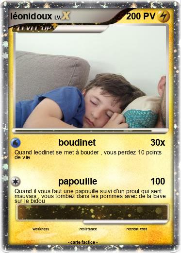 Pokemon léonidoux