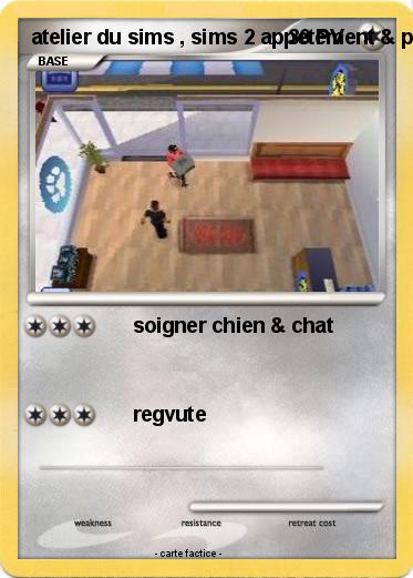 Pokemon atelier du sims , sims 2 appetement & pet DS
