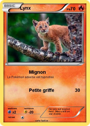 Pokemon Lynx