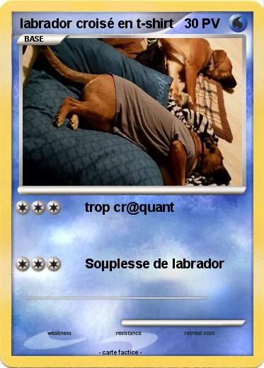 Pokemon labrador croisé en t-shirt