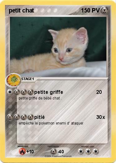 Pokemon petit chat