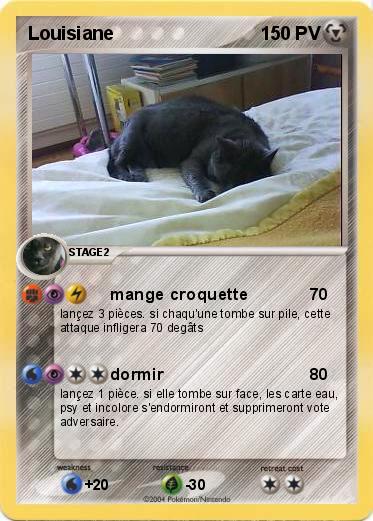 Pokemon Louisiane
