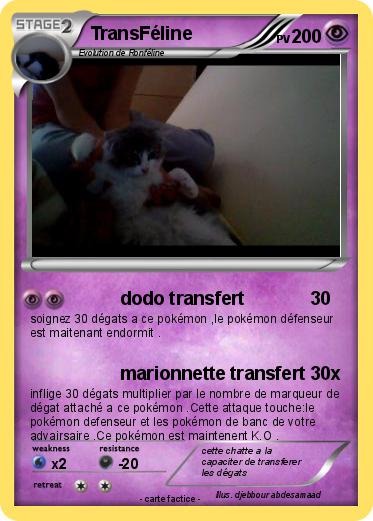 Pokemon TransFéline