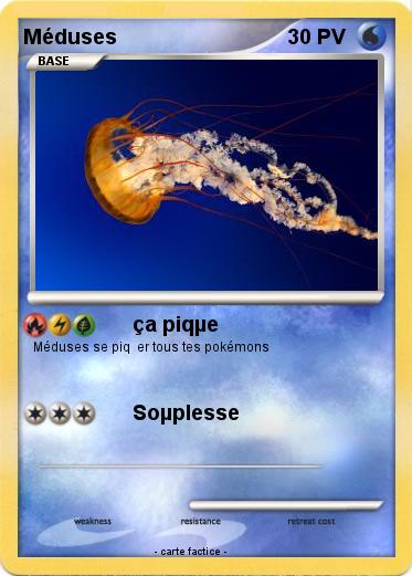 Pokemon Méduses