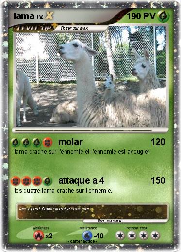 Pokemon lama