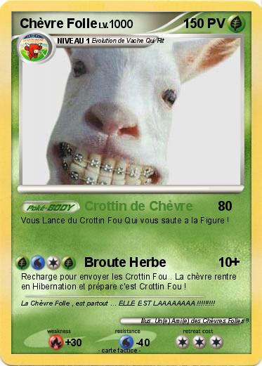 Pokemon Chèvre Folle