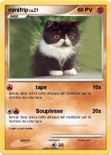 Pokemon minifrip