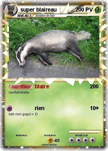Pokemon super blaireau