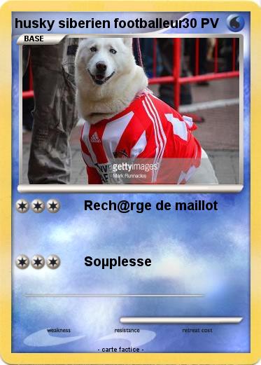 Pokemon husky siberien footballeur