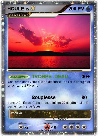 Pokemon HOULE