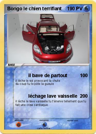 Pokemon Bongo le chien terrifiant