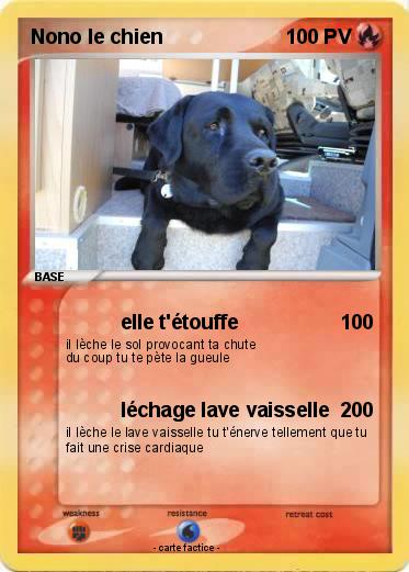 Pokemon Nono le chien