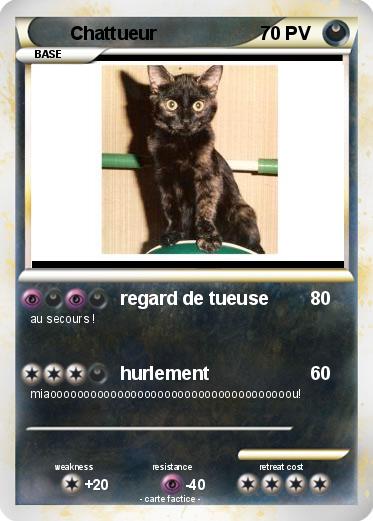 Pokemon Chattueur