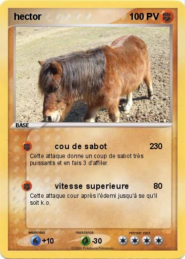 Pokemon hector