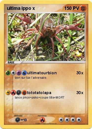 Pokemon ultima ippo x