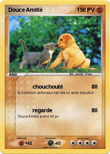 Pokemon Douce Amitié